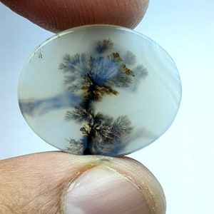 Wunderschöner Achat!!! Dendritenachat Oval Cabochon, lose Edelstein, dendritischen Achat für die Herstellung von Schmuck Pendent