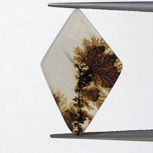 Natürlicher Achat !!! Dendritenachat Cabochon, lose Edelstein, dendritischen Achat für die Herstellung von Schmuck Pendent