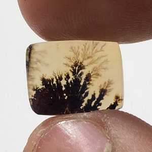 Erstaunlicher Design Achat !!! NATÜRLICHER Dendritischer Achat Oval Cabochon, loser Edelstein, Dendritischer Achat für die Herstellung von Schmuck Pendent.