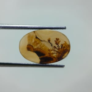 Piedra de diseño. Cabujón de ágata dendrítica de fantasía, piedra preciosa suelta, ágata dendrítica para hacer colgantes de joyería, tamaño 15 x 10 mm.
