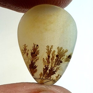 Schön Dendritenachat Birne Cabochon, Lose Edelstein, Dendriten Achat Für die Herstellung von Schmuck Pendent