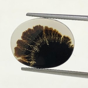 100% Natürlich Landschaftlich Achat !!! Baumachat, Dendritenquarz, Dendritenachat, Malerischer Achat-Edelstein, Dendritenachatstein, Größe 17 x 14 MM