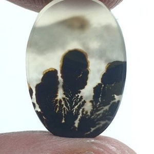 Wunderschöner Designer Dendriten Achat !!! NATÜRLICHER Dendritischer Achat Cabochon, loser Edelstein, 13 x 17 mm Dendritischer Achat zur Herstellung von Schmuckanhängern.