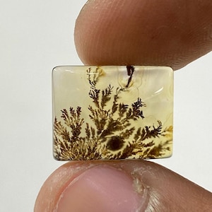 Riesige Größe !!! Dendritenachat Cabochon, Lose Edelstein, Dendritenachat für die Herstellung von Schmuck Pendent Größe 14 x 11 MM