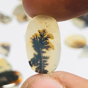 Wunderschöner Designer Dendriten Achat !!! NATÜRLICHER Dendritischer Achat Cabochon, loser Edelstein, 9x16 MM Dendritischer Achat für die Herstellung von Schmuck Pendent.