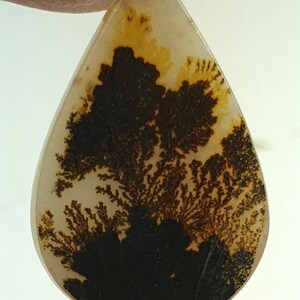 Riesige Größe !!! Dendritenachat Birne Cabochon, Lose Edelstein, Dendritenachat für die Herstellung von Schmuck Pendent Größe 23x15 MM