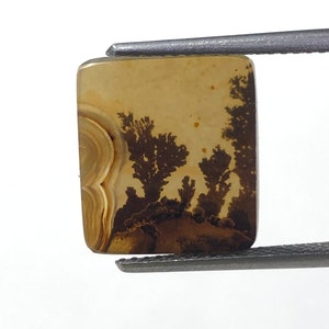 Erstaunlicher Design Achat !!! NATÜRLICHER Dendritischer Achat Oval Cabochon, loser Edelstein, Dendritischer Achat für die Herstellung von Schmuck Pendent.