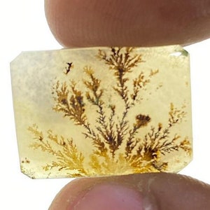 Riesige Größe !!! Dendritenachat Cabochon, Lose Edelstein, Dendritenachat für die Herstellung von Schmuck Pendent Größe 17 x 13 MM