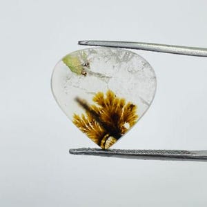 Riesige Größe !!! Dendritenachat Cabochon, Lose Edelstein, Dendritenachat für die Herstellung von Schmuck Pendent Größe 15 x 16 MM