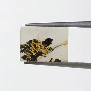 Natürlicher Achat !!! Dendritenachat Cabochon, lose Edelstein, dendritischen Achat für die Herstellung von Schmuck Pendent