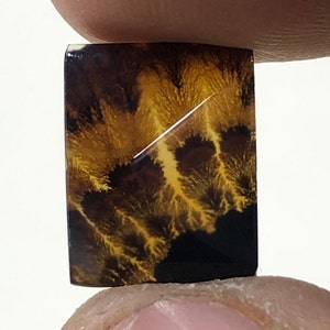 Erstaunlicher Design Achat !!! NATÜRLICHER Dendritischer Achat Oval Cabochon, loser Edelstein, Dendritischer Achat für die Herstellung von Schmuck Pendent.