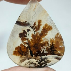 100% Natürlich Landschaftlich Achat !!! Baumachat, Dendritenquarz, Dendritenachat, Malerischer Achat-Edelstein, Dendritenachatstein, Größe 40 x 34 MM