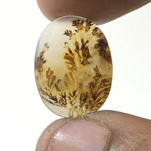 Erstaunlicher Design Achat !!! NATÜRLICHER Dendritischer Achat Oval Cabochon, loser Edelstein, Dendritischer Achat für die Herstellung von Schmuck Pendent.