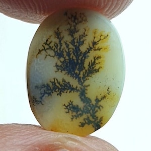 Riesige Größe !!! Dendritenachat Oval Cabochon, Lose Edelstein, Dendritenachat für die Herstellung von Schmuck Pendent Größe 14 x 10 MM
