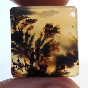 Fantastisch ontwerp dendritische agaat cabochon, losse edelsteen, dendritische agaat voor het maken van hangende sieraden Afmeting: 19 x 18 mm