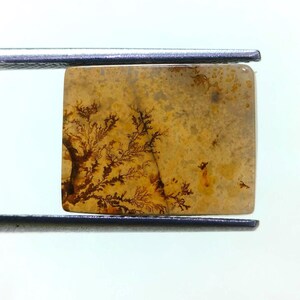 Piedra de diseño. Cabujón de ágata dendrítica de fantasía, piedra preciosa suelta, ágata dendrítica para hacer colgantes de joyería. Tamaño: 15 x 11 mm.