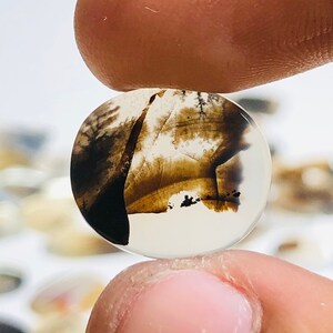 Natürlicher Achat !!! Dendritenachat Birne Cabochon, Lose Edelstein, Dendritenachat 13x15 Größe für die Herstellung von Schmuck Pendent