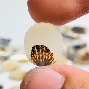 Natürlicher Achat !!! Dendritenachat Birne Cabochon, Lose Edelstein, Dendritenachat 10x12 Größe für die Herstellung von Schmuck Pendent