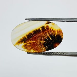 Riesige Größe !!! Dendritenachat Cabochon, Lose Edelstein, Dendritenachat für die Herstellung von Schmuck Pendent Größe 25 x 15 MM