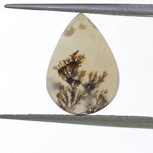 Natürlicher Achat !!! Dendritenachat Birne Cabochon, lose Edelstein, dendritischen Achat für die Herstellung von Schmuck Pendent