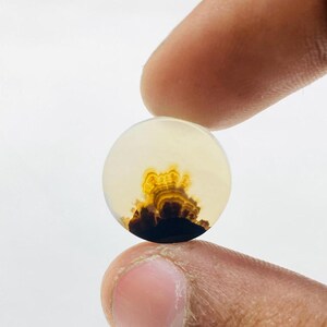 Riesige Größe !!! Dendritenachat Rechteck Cabochon, Lose Edelstein, Dendriten Achat für die Herstellung von Schmuck Pendent Größe 16 x 16 MM