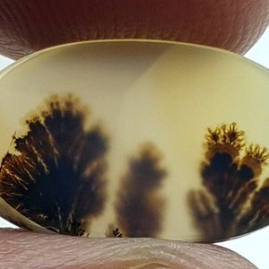 Riesige Größe !!! Dendritenachat Oval Cabochon, Lose Edelstein, Dendritenachat für die Herstellung von Schmuck Pendent Größe 18x10 MM