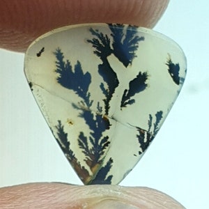 Dimensioni enormi!!! Cabochon a pera di agata dendritica, pietra preziosa sciolta, agata dendritica per realizzare gioielli con pendente, dimensioni 13x12 MM