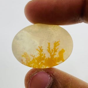 Riesige Größe !!! Dendritenachat Cabochon, Lose Edelstein, Dendritenachat für die Herstellung von Schmuck Pendent Größe 23 x 23 MM