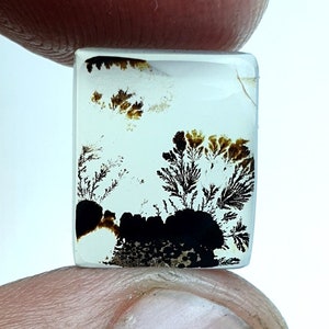 Schön Dendritenachat Rechteck Cabochon, Lose Edelstein, Dendriten Achat für die Herstellung von Schmuck Pendent