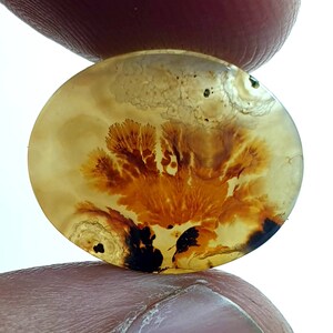 Tolles Design Achat !!! NATÜRLICHER Dendritischer Achat Cabochon, Loser Edelstein, Dendritischer Achat für die Herstellung von Schmuck Anhänger Größe.