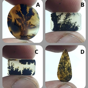 NATÜRLICHER Dendritenachat Cabochon, loser Edelstein, Dendritenachat für die Herstellung von Schmuck, Anhänger, Ring.