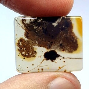 Fantastisches Design Dendritenachat Cabochon, Loser Edelstein, Dendritenachat für die Herstellung von Schmuck Pendent Größe: 24X20 MM