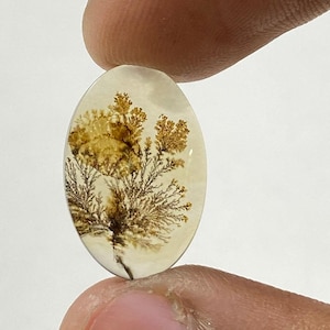 Riesige Größe !!! Dendritenachat Cabochon, lose Edelstein, dendritischen Achat für die Herstellung von Schmuck Pendent Größe 18X12 MM