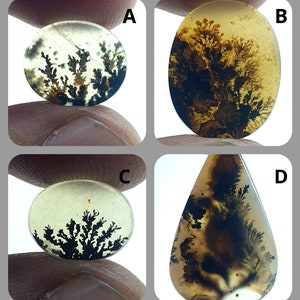 NATÜRLICHER Dendritenachat Cabochon, loser Edelstein, Dendritenachat für die Herstellung von Schmuck Pendent Größe.