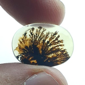 Riesige Größe !!! Dendritenachat Oval Cabochon, Lose Edelstein, Dendritenachat für die Herstellung von Schmuck Pendent Größe 20x14 MM