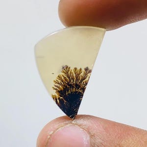 Riesige Größe !!! Dendritenachat-Birne Cabochon, lose Edelstein, dendritische Achat für die Herstellung von Schmuck Pendent Größe 22 x 14 mm