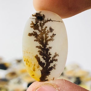 Wunderschöner Designer Dendriten Achat !!! NATÜRLICHER Dendritenachat Cabochon, loser Edelstein, 15X23 MM Dendritenachat für die Herstellung von Schmuck Pendent.