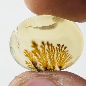 Wunderschöner Designer Dendriten Achat !!! NATÜRLICHER Dendritenachat Cabochon, loser Edelstein, 13x10 mm Dendritenachat für die Herstellung von Schmuck Pendent.