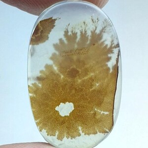 Designer Achat !!! Dendritenachat Oval Cabochon, Lose Edelstein, Dendritenachat für die Herstellung von Schmuck Pendent Größe 25 x 15 MM