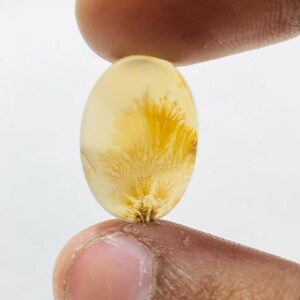 Riesige Größe !!! Dendritenachat Birne Cabochon, Lose Edelstein, Dendritenachat für die Herstellung von Schmuck Pendent Größe 19 x 13 MM