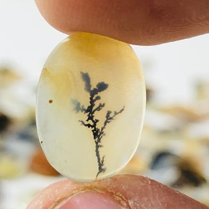 Wunderschöner Designer Dendriten Achat !!! NATÜRLICHER Dendritenachat Cabochon, loser Edelstein, 10X15 MM Dendritenachat für die Herstellung von Schmuck Pendent.