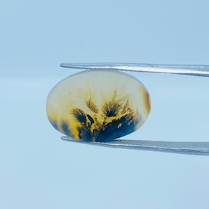 Erstaunlicher Design Achat !!! NATÜRLICHER Dendritischer Achat Oval Cabochon, loser Edelstein, Dendritischer Achat für die Herstellung von Schmuck Pendent.