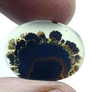 Riesige Größe !!! Dendritenachat Oval Cabochon, Lose Edelstein, Dendritenachat für die Herstellung von Schmuck Pendent Größe 19x15 MM