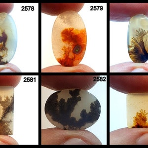 Fantastisch ontwerp dendritische agaat cabochon, losse edelsteen, dendritische agaat voor het maken van hangende sieraden