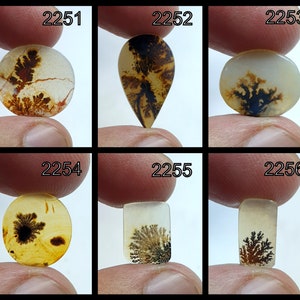 100% natürliches Design Schöner dendritischer Achat Cabochon, loser Edelstein, dendritischer Achat für die Herstellung von Schmuck Pendent Größe.
