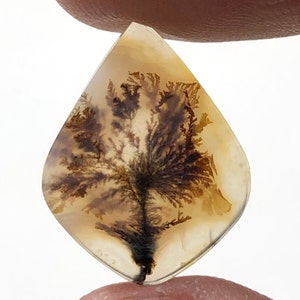 Erstaunlicher Design Achat !!! NATÜRLICHER Dendritischer Achat Oval Cabochon, loser Edelstein, Dendritischer Achat für die Herstellung von Schmuck Pendent.