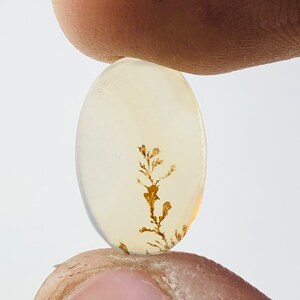 Wunderschöner Designer Dendriten Achat !!! NATÜRLICHER Dendritenachat Cabochon, loser Edelstein, 9X14 mm Dendritenachat für die Herstellung von Schmuck Pendent.