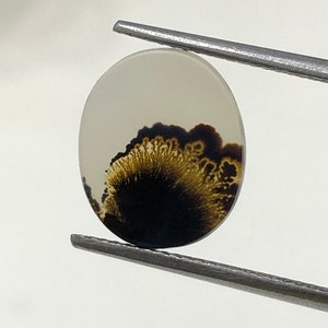 100% Natürlich Landschaftlich Achat !!! Baumachat, Dendritenquarz, Dendritenachat, Malerischer Achat-Edelstein, Dendritenachatstein, Größe 13 x 11 MM
