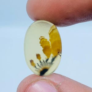 Erstaunlicher Design Achat !!! NATÜRLICHER Dendritischer Achat Oval Cabochon, loser Edelstein, Dendritischer Achat für die Herstellung von Schmuck Pendent.