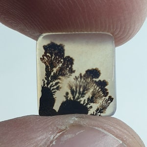 Riesige Größe !!! Dendritenachat Rechteck Cabochon, Lose Edelstein, Dendritenachat für die Herstellung von Schmuck Pendent Größe 10x10 MM